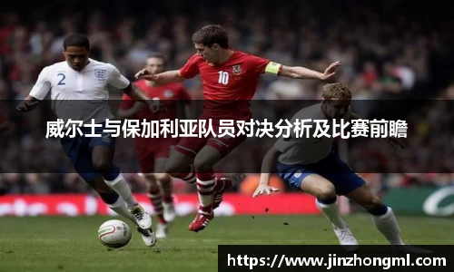 威尔士与保加利亚队员对决分析及比赛前瞻